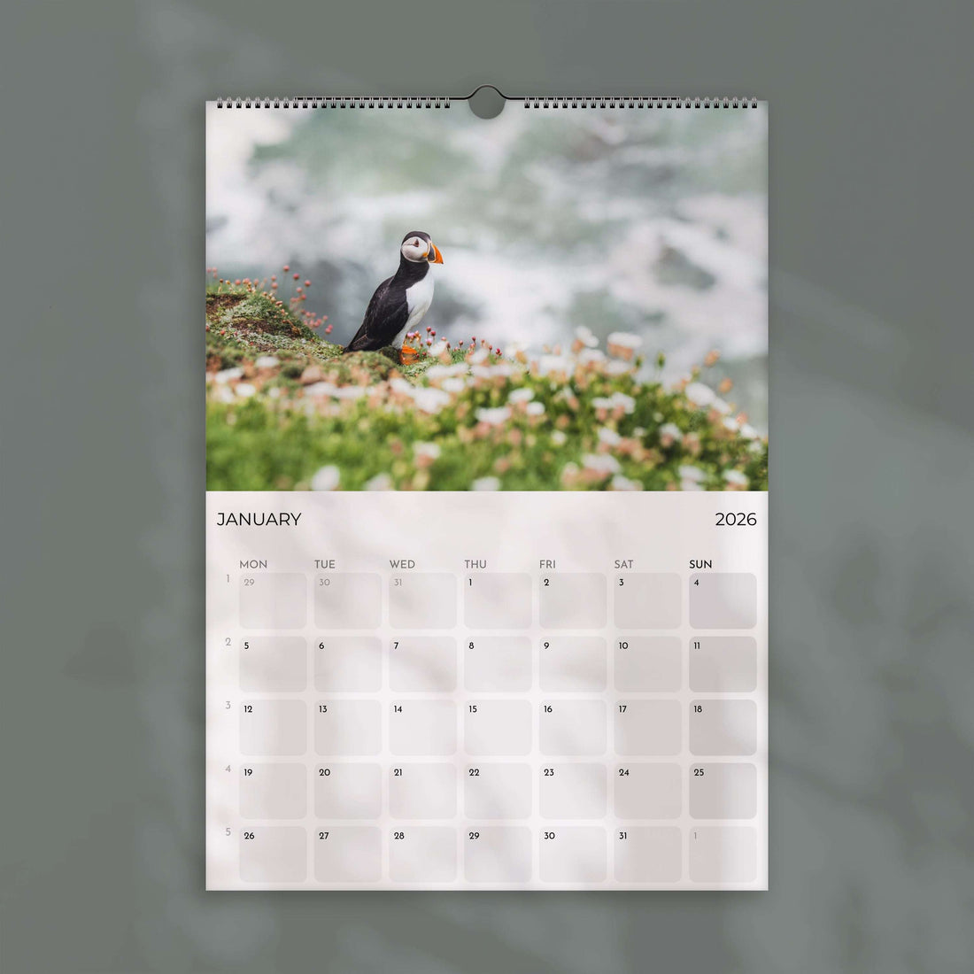 Puffins 2026 - Wall Calendar