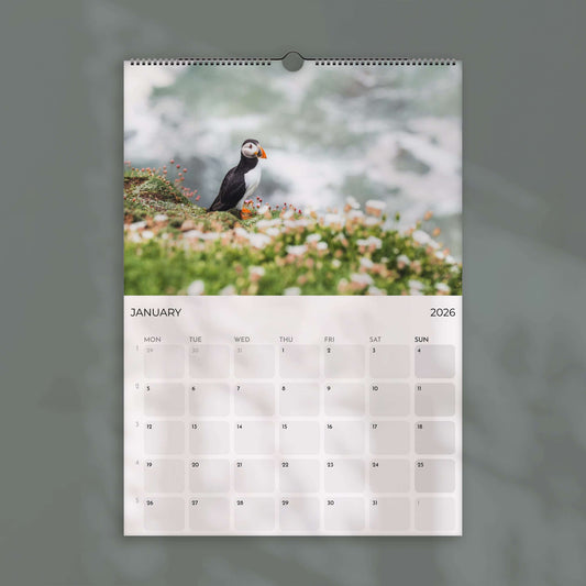Puffins 2026 - Wall Calendar