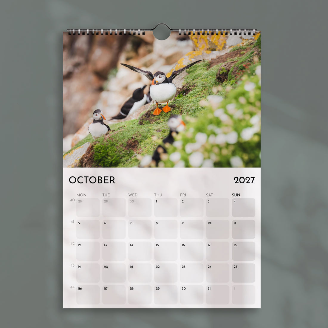 Der Alpenkalender 2025