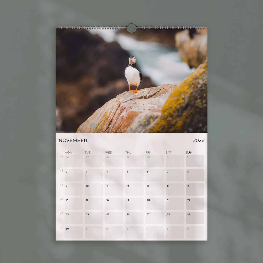 Puffins 2026 - Wall Calendar
