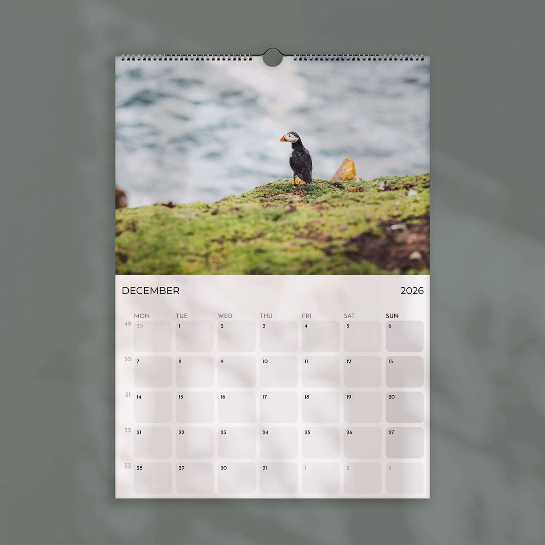 Puffins 2026 - Wall Calendar