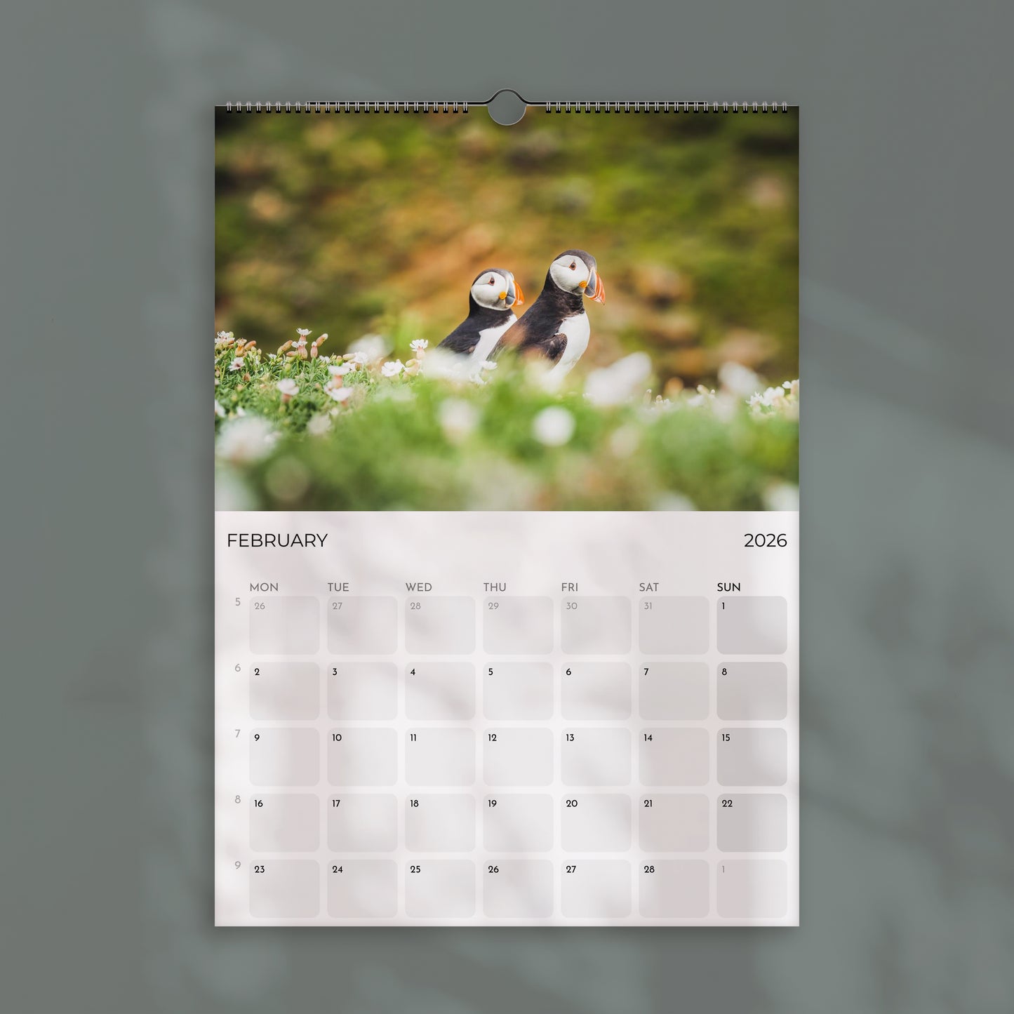 Puffins 2026 Wall Calendar – Wildlife & Bird Photography