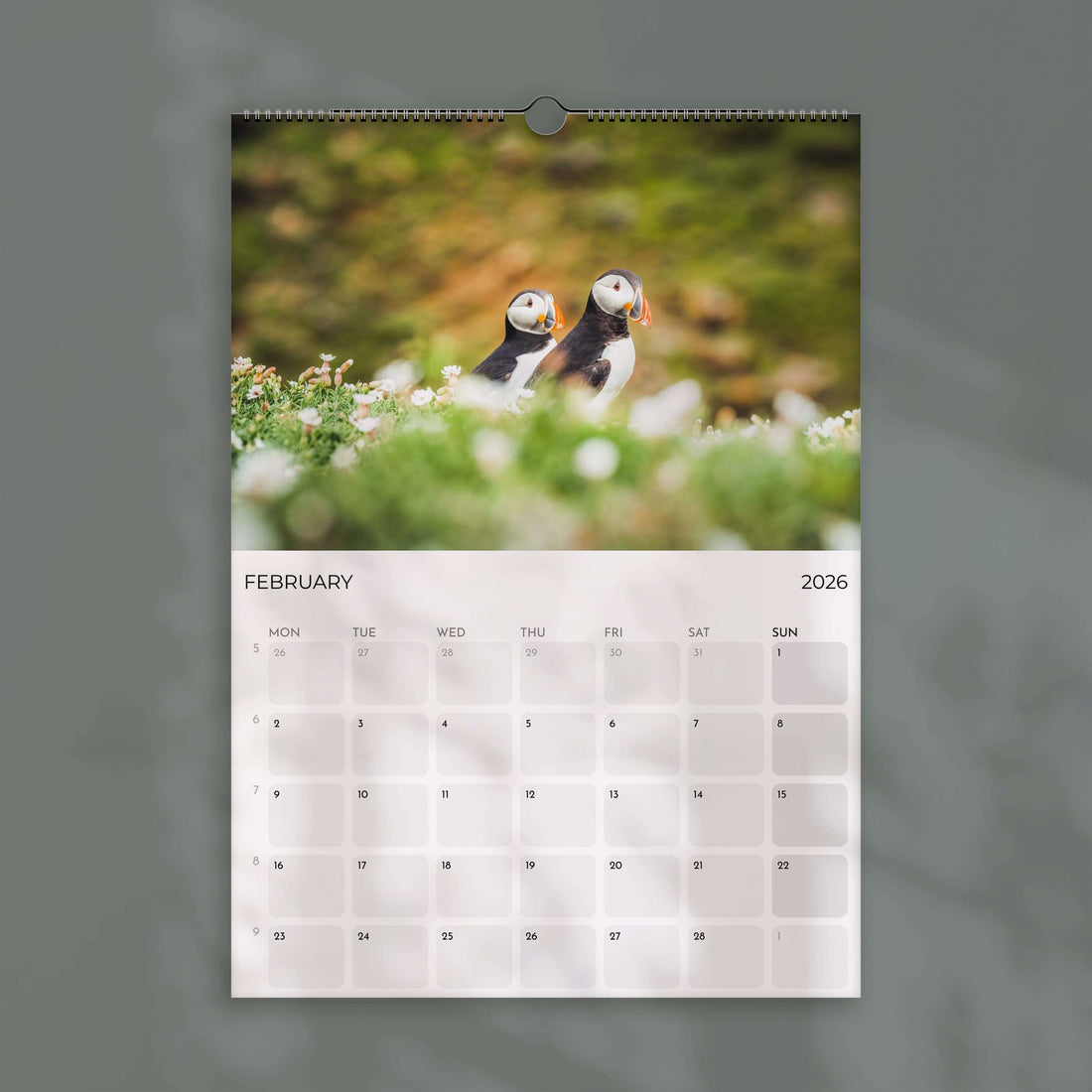Puffins 2026 - Wall Calendar