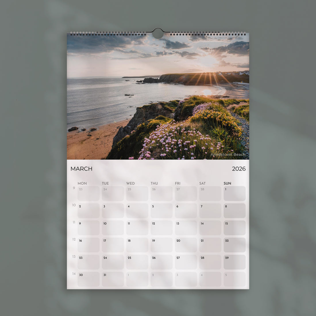 Ireland 2026 Calendar