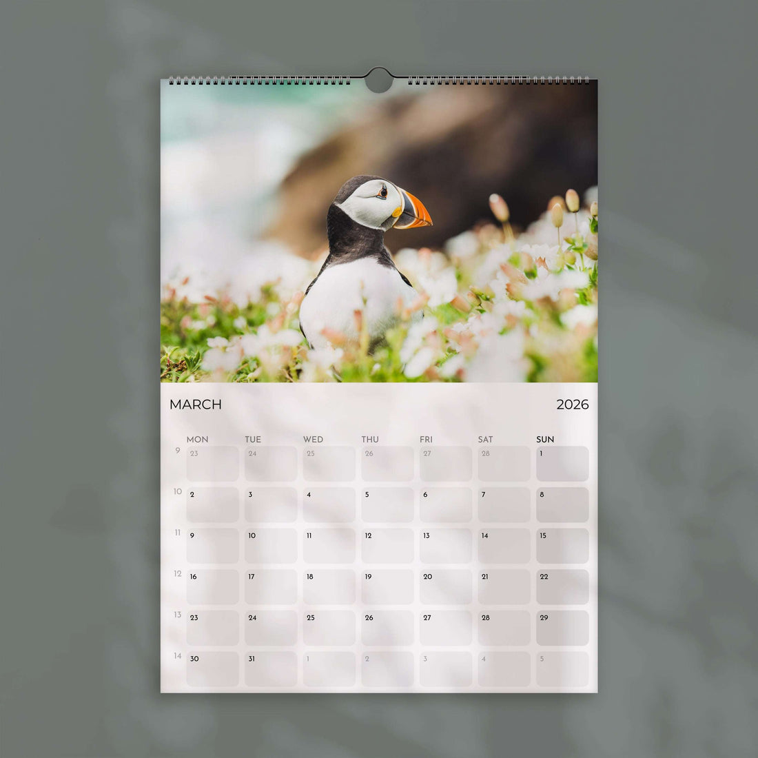 Puffins 2026 - Wall Calendar