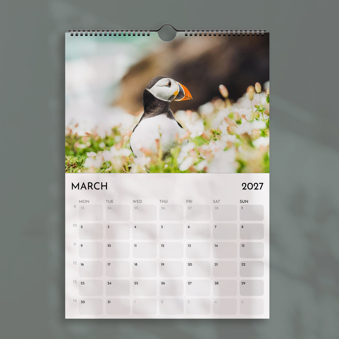 Der Alpenkalender 2025