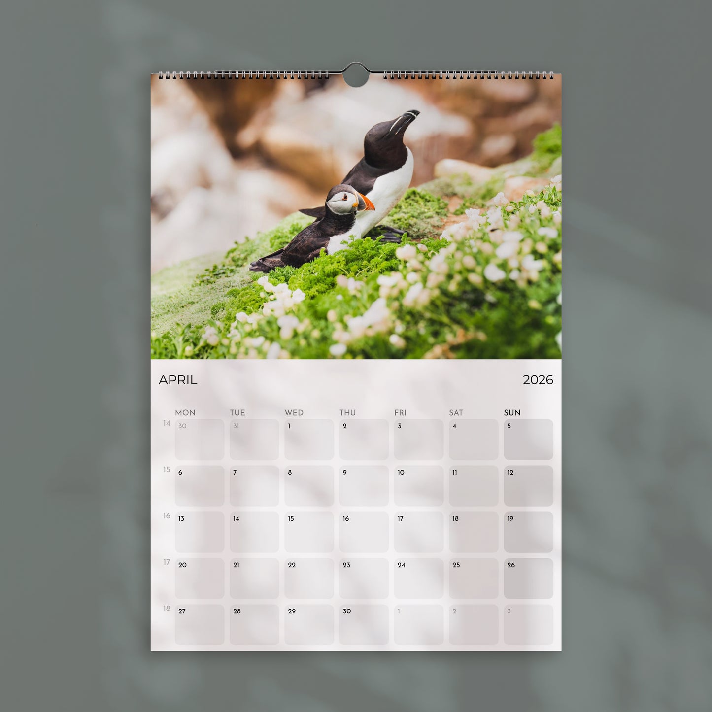 Puffins 2026 Wall Calendar – Wildlife & Bird Photography
