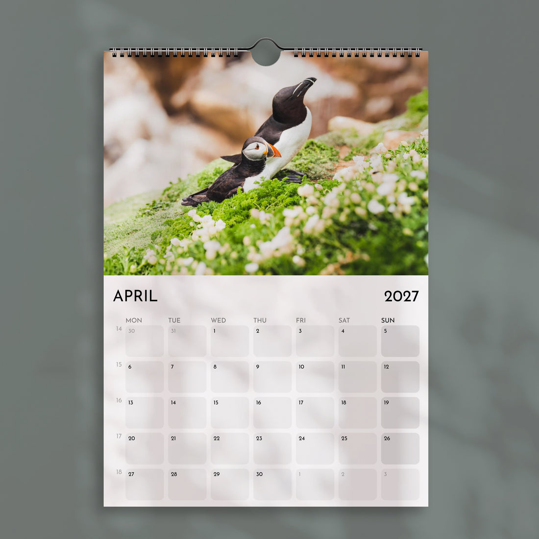 Der Alpenkalender 2025