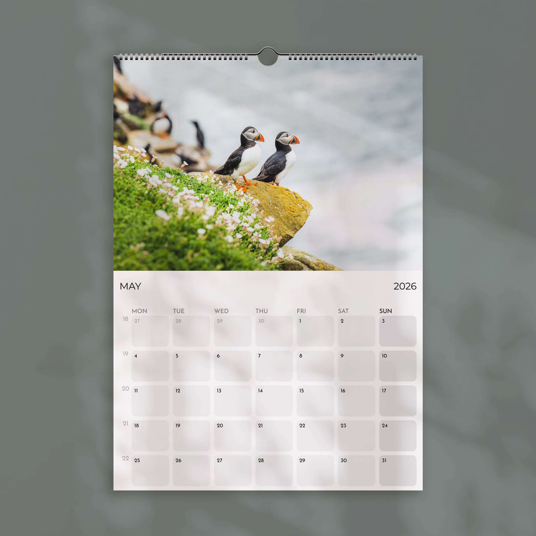 Puffins 2026 - Wall Calendar