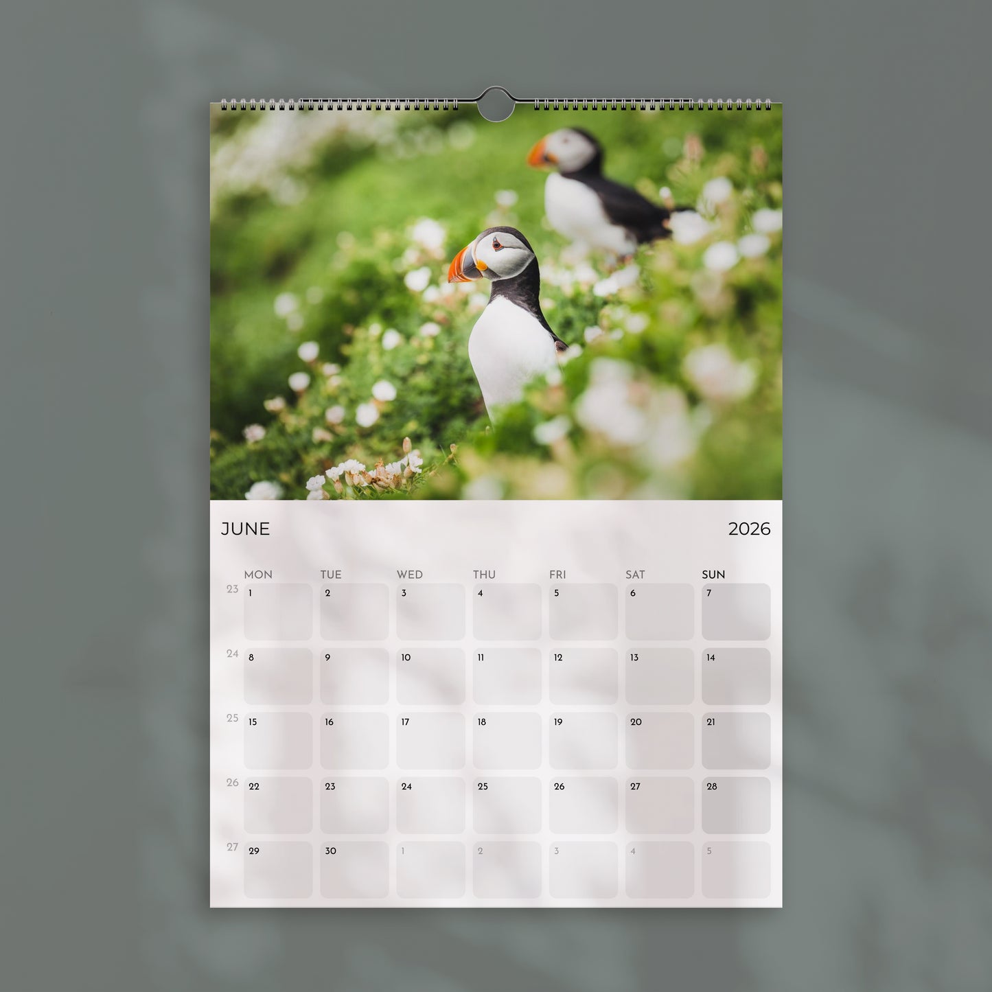 Puffins 2026 Wall Calendar – Wildlife & Bird Photography