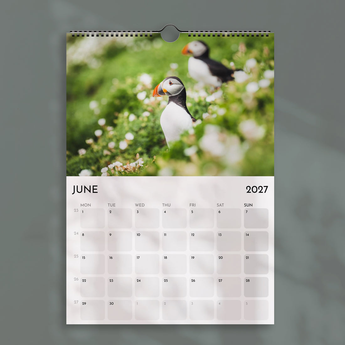 Der Alpenkalender 2025