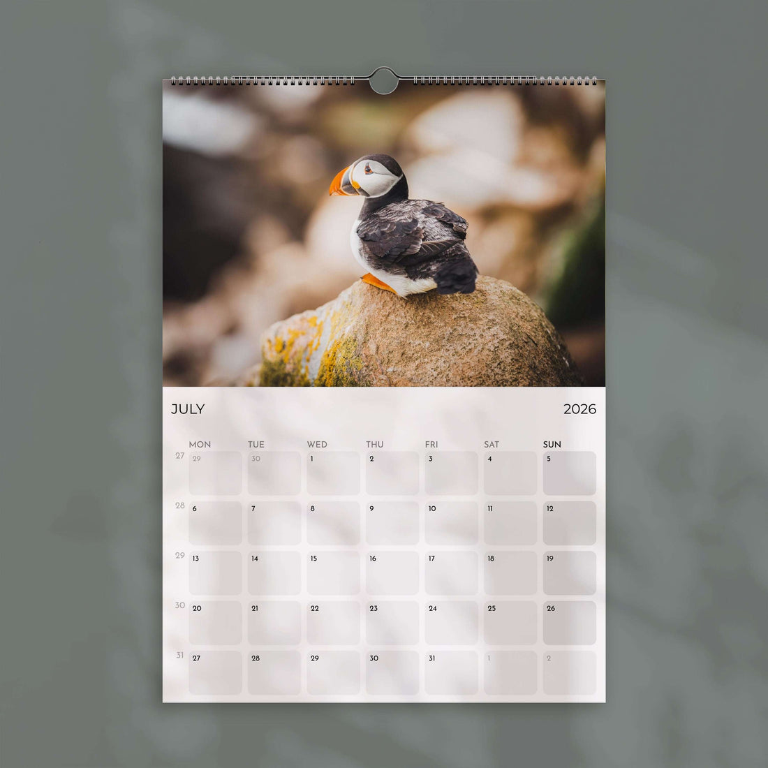 Puffins 2026 - Wall Calendar