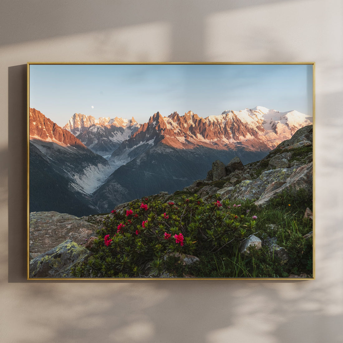 Aiguilles de Chamonix wall art print with golden hour light on the Mont Blanc peaks and alpine flora.