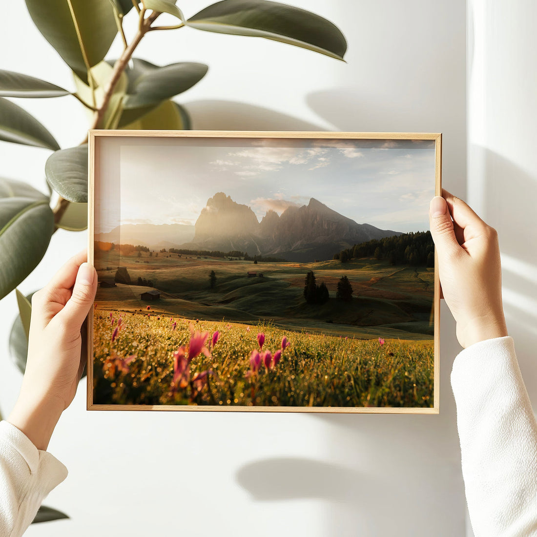 Stunning fine art photography print of Alpe di Siusi in Italy, with pink wildflowers and mountain views.