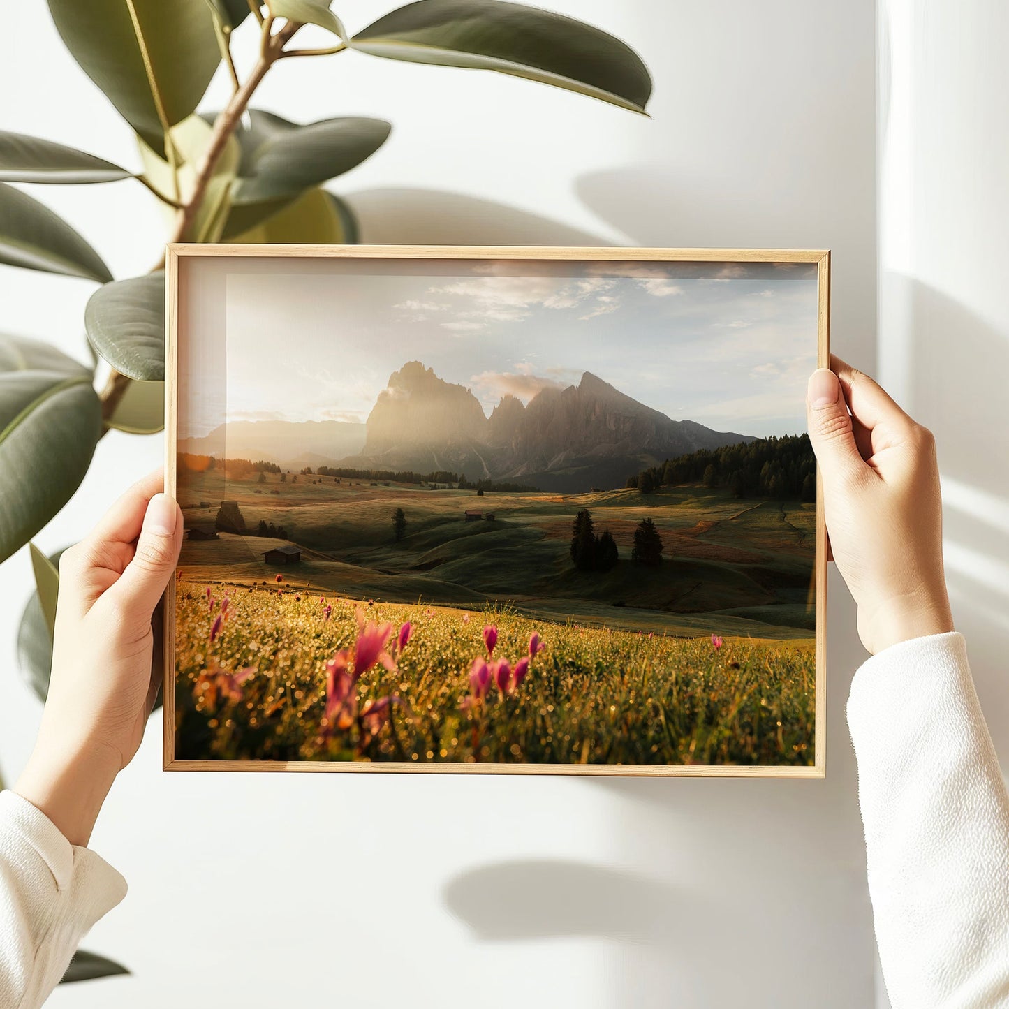 Stunning fine art photography print of Alpe di Siusi in Italy, with pink wildflowers and mountain views.