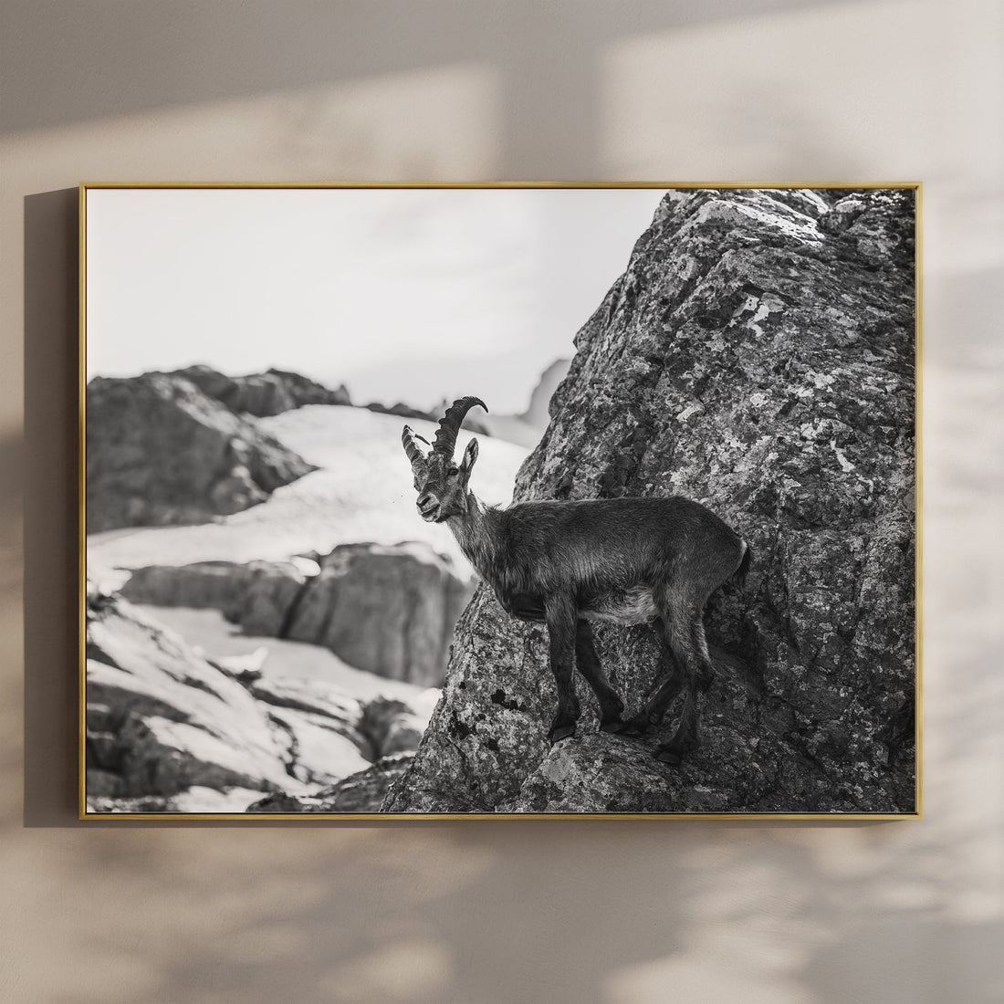 Minimalist black and white alpine ibex print showcasing a wild mountain goat on a rocky ledge in the French Alps.