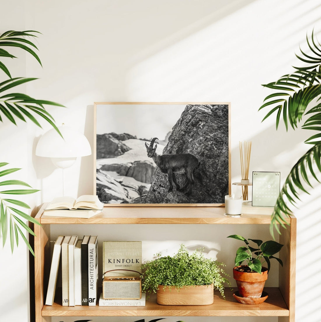 Minimalist wall decor print of an alpine ibex standing on rocks in the snowy French Alps, in stunning monochrome.