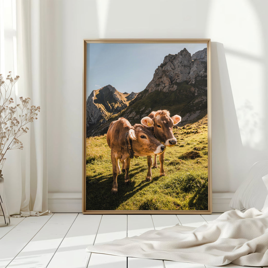 Stunning photography of Alpine cows grazing in a golden meadow with breathtaking mountain views.