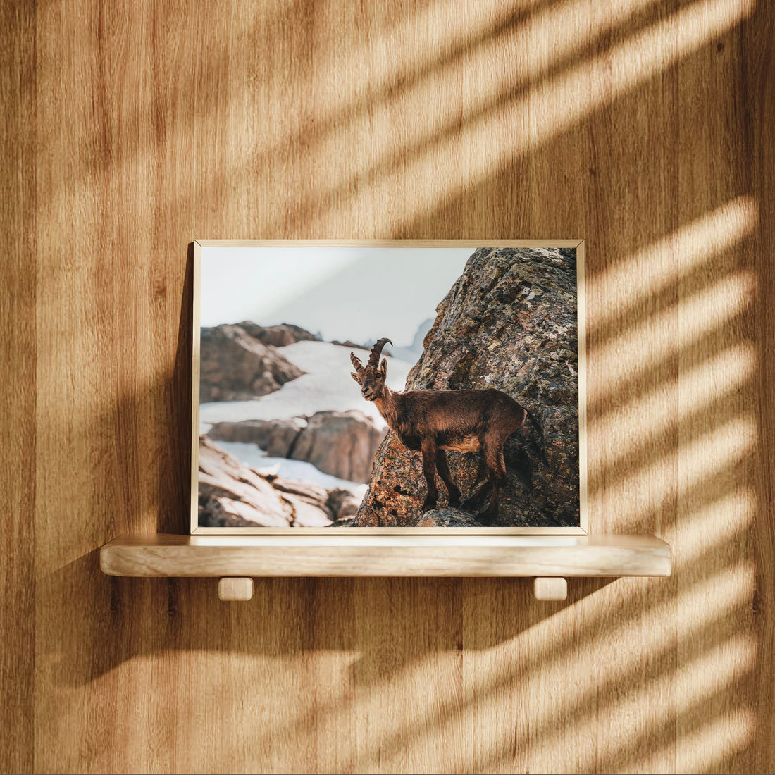 Minimalist alpine wildlife wall decor featuring a mountain ibex captured in natural high-altitude terrain.