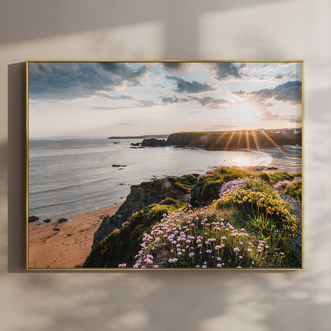 Irish coastal cliffs and wildflowers at sunset in Annestown