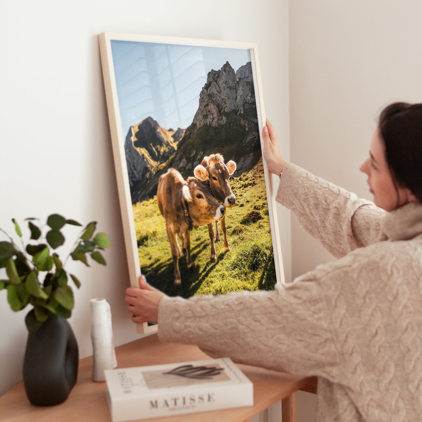 A serene pastoral scene from the Appenzell Alps featuring friendly cows basking in the afternoon sun.