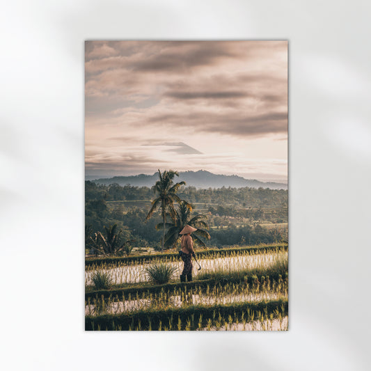Photography print of Bali rice terraces with farmer walking under cloudy sky