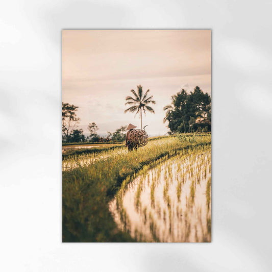 Bali rice terraces wall art showing lush green landscape in Jatiluwih Indonesia