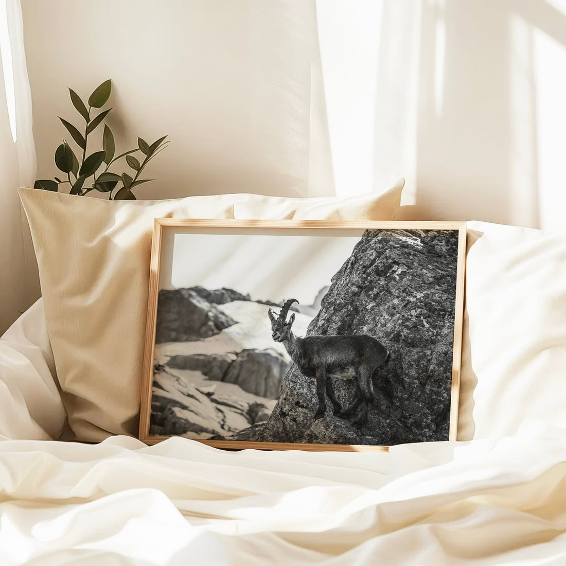 Black and white mountain goat wall art featuring a majestic ibex with curved horns in a high alpine landscape.