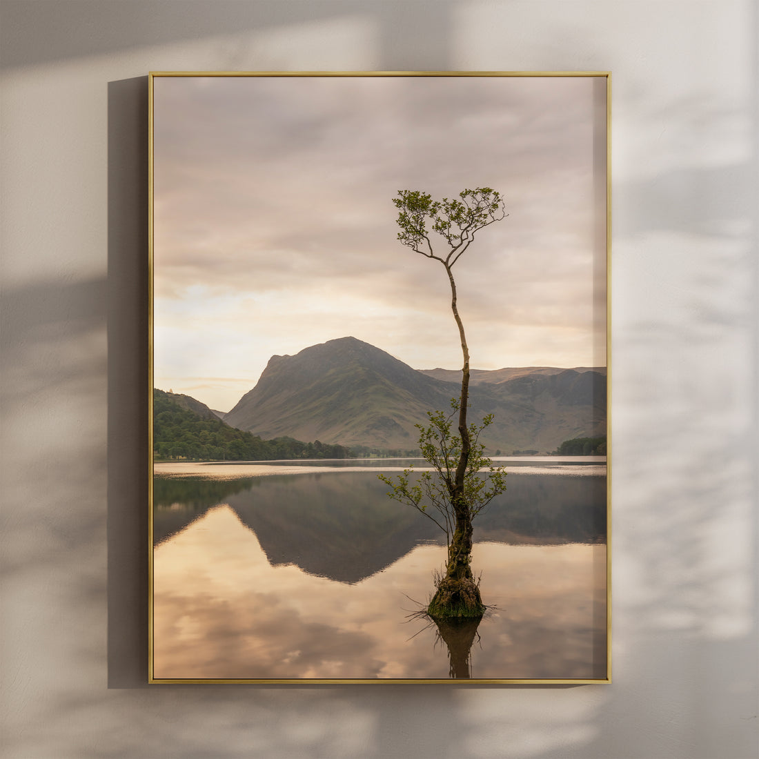 Buttermere Lone Tree print – Gold frame wall art