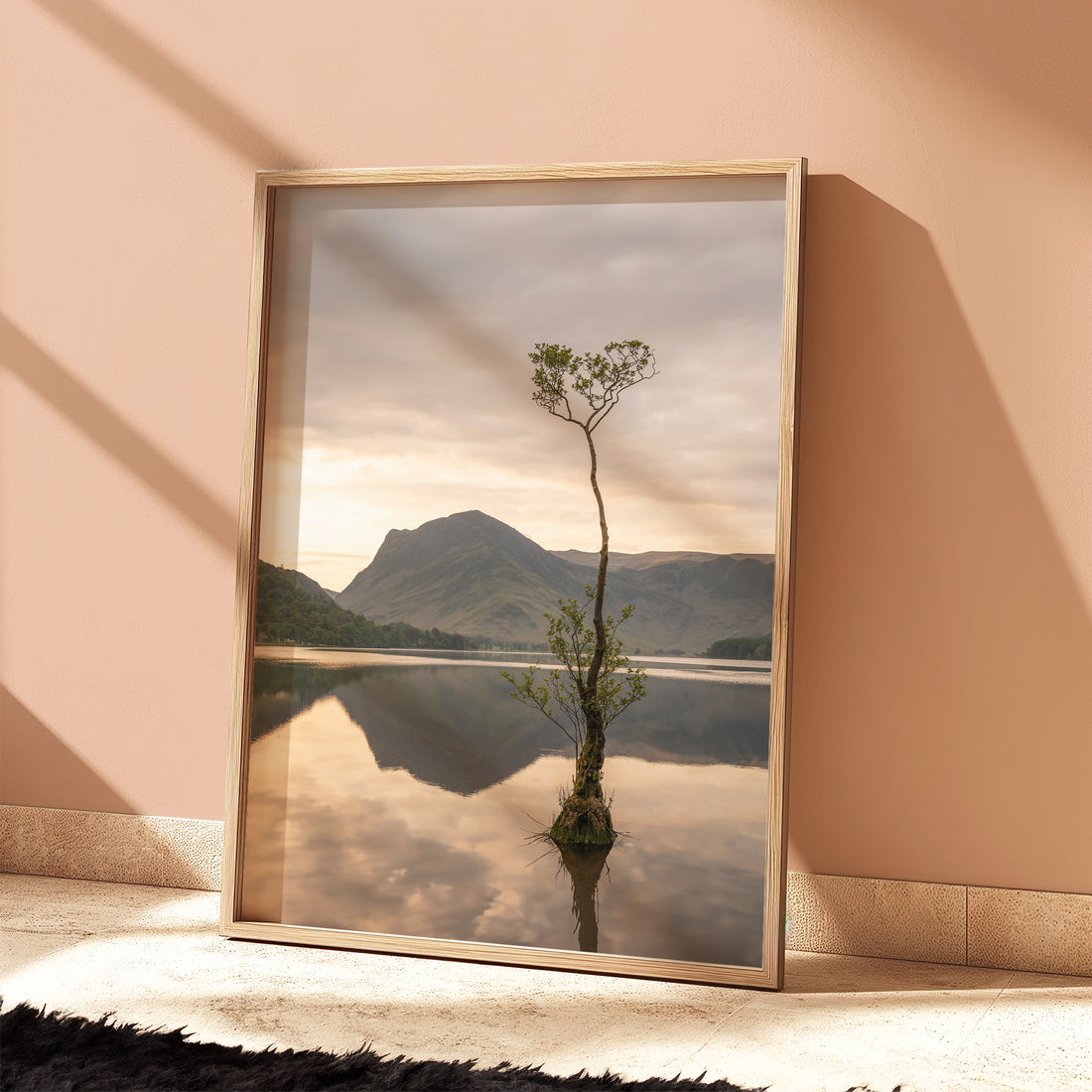 Buttermere Lone Tree print – Sunlight on pink wall