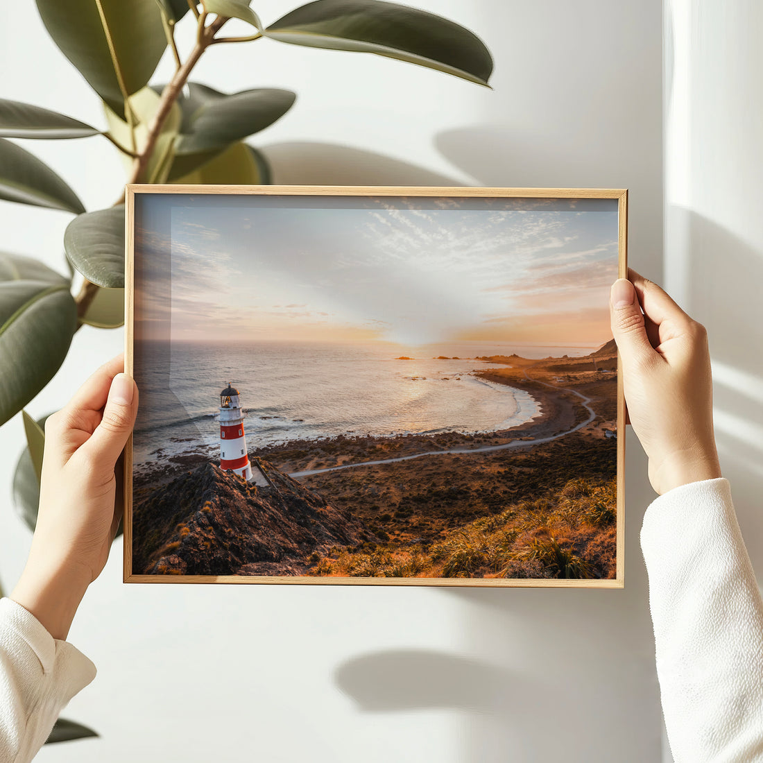Hands holding framed Cape Palliser lighthouse landscape photography print in natural oak frame against white wall with large leaf plant