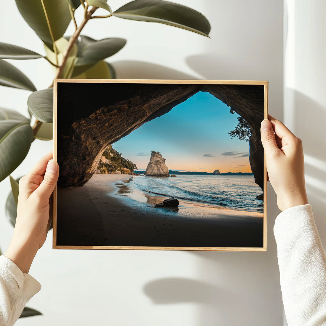 Hands holding framed Cathedral Cove sunrise landscape photography print in natural oak frame against white wall with large leaf plant