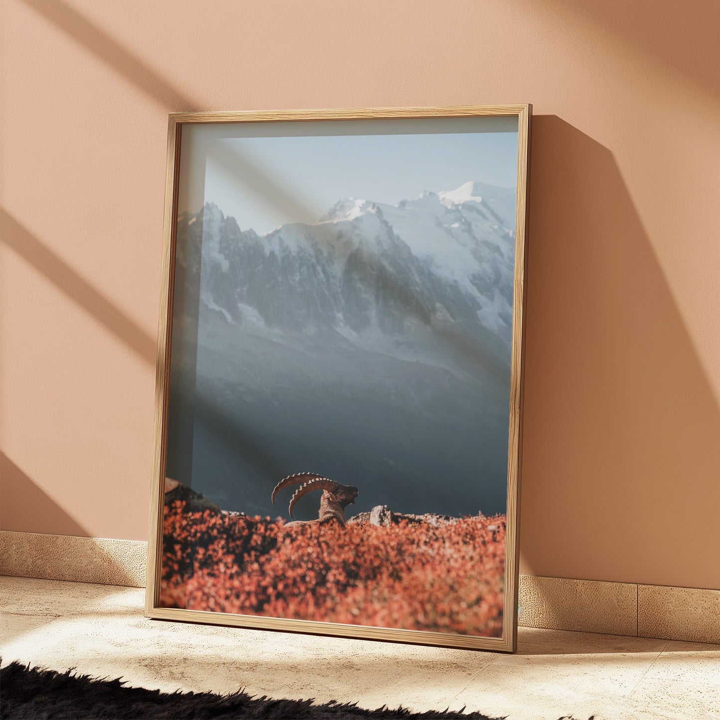 Beautiful nature print of an ibex in the Chamonix National Park with scenic mountain views.