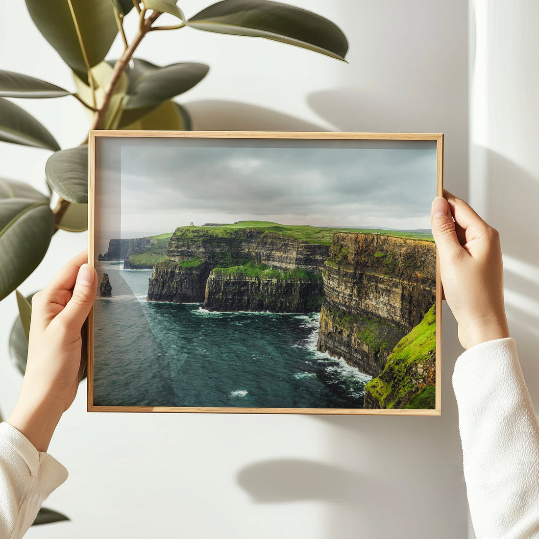 Cliffs of Moher photo print held in hands near an indoor plant in soft daylight