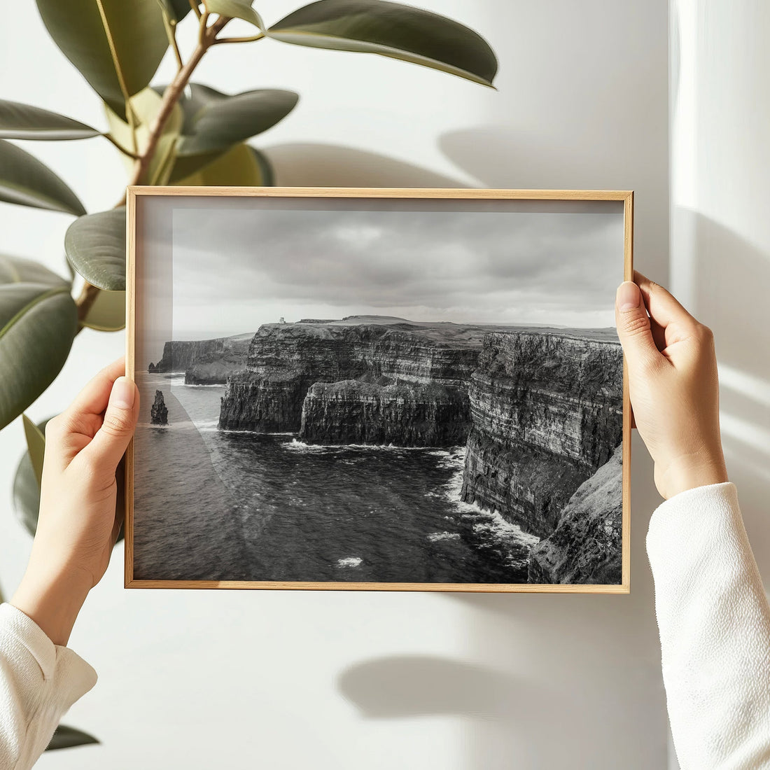 Hands holding a framed Cliffs of Moher print with natural plant decor