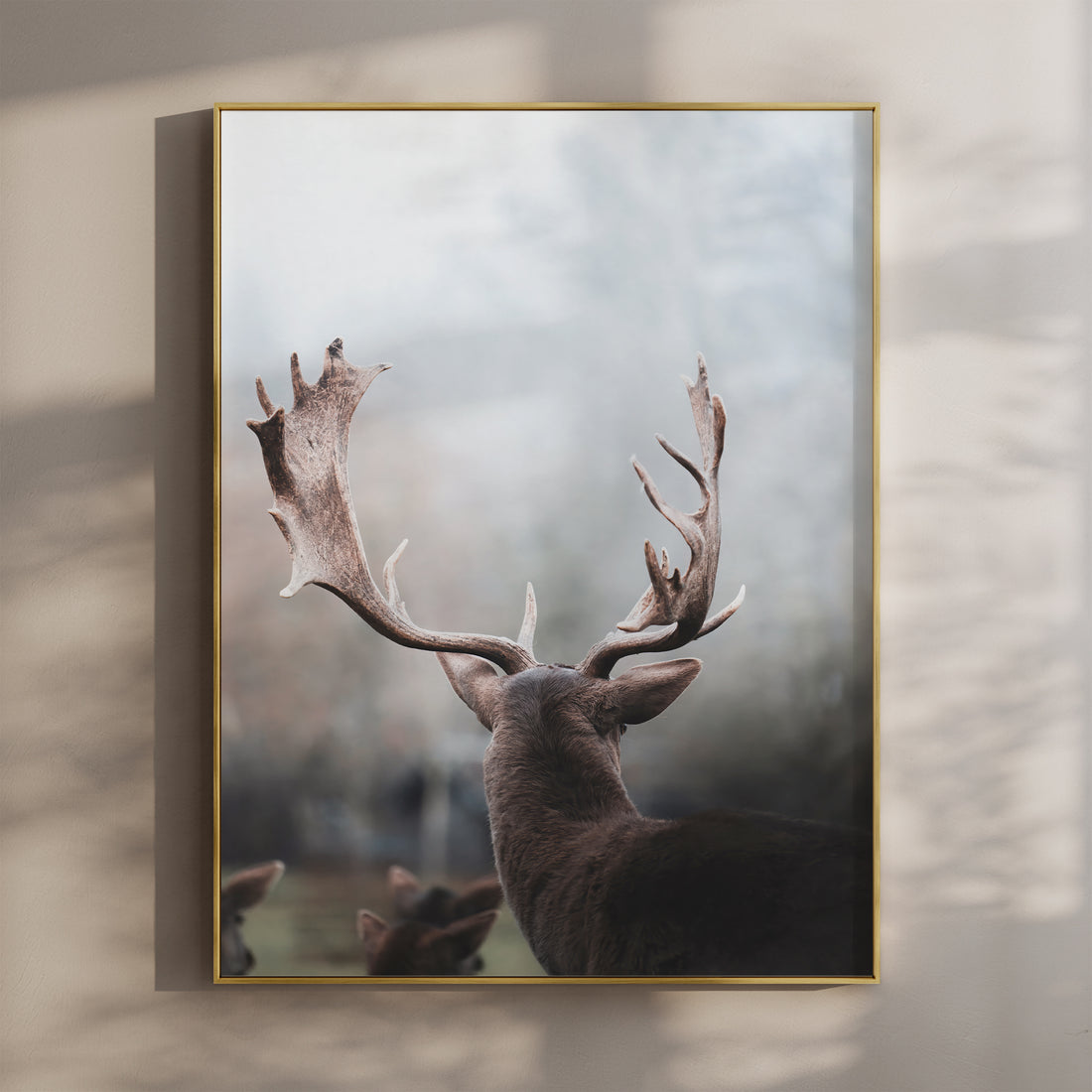 Deer with large antlers in the Bavarian Alps, photographed from behind in soft light