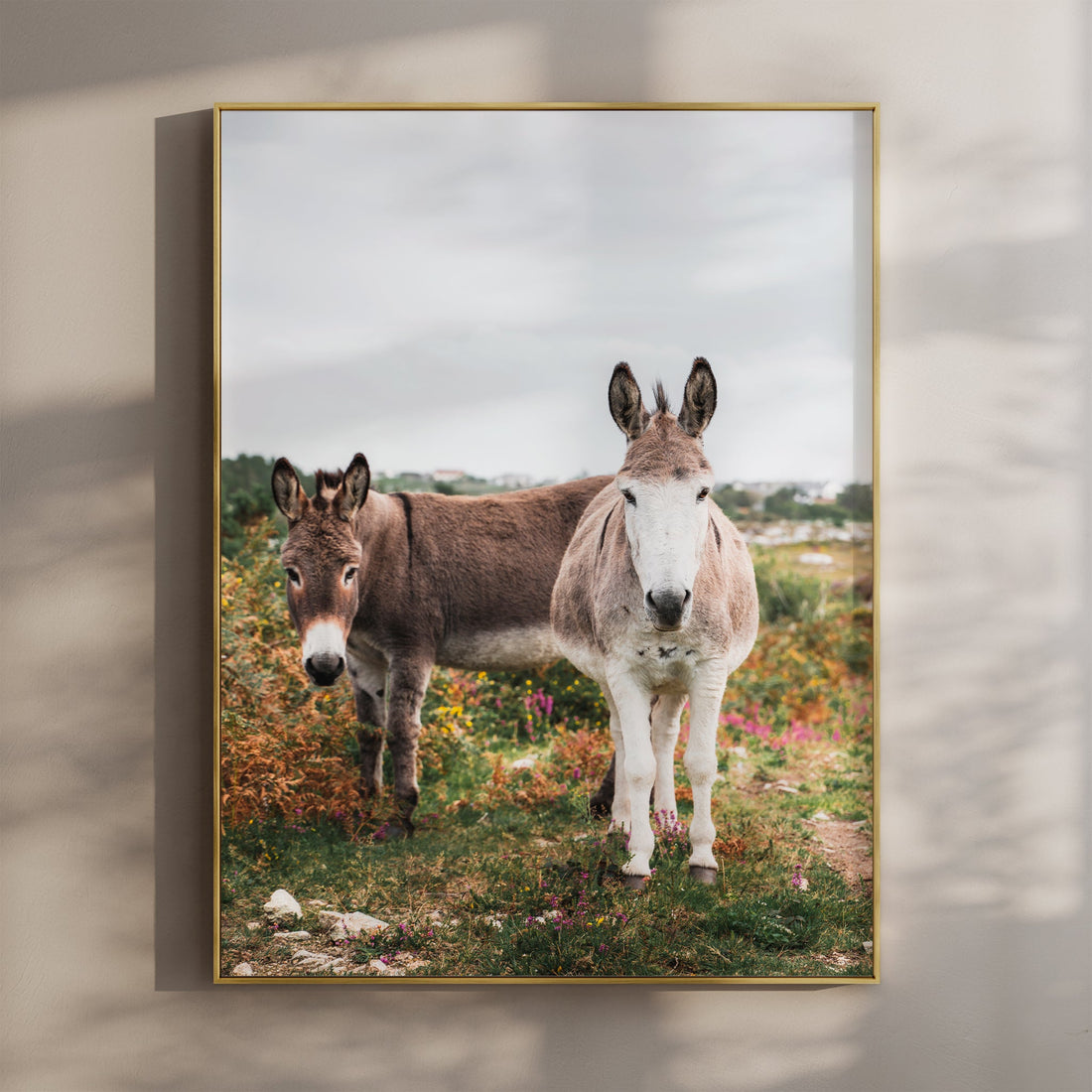 Two donkeys standing in a wildflower field in Connemara, Ireland.
