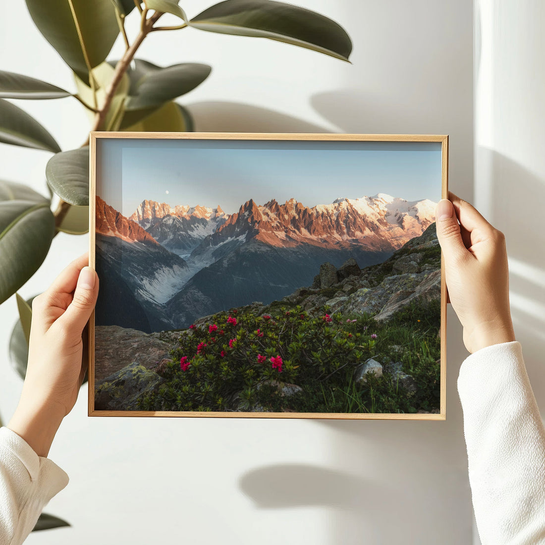 Chamonix Alps wall art featuring rugged peaks and vivid alpine flowers overlooking Mont Blanc.