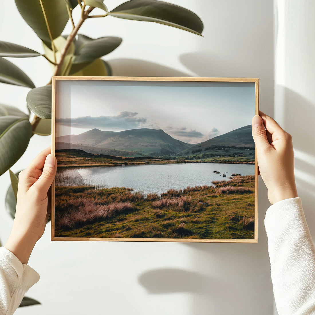 Framed Tewet Tarn photo held in hands with plant decor in background