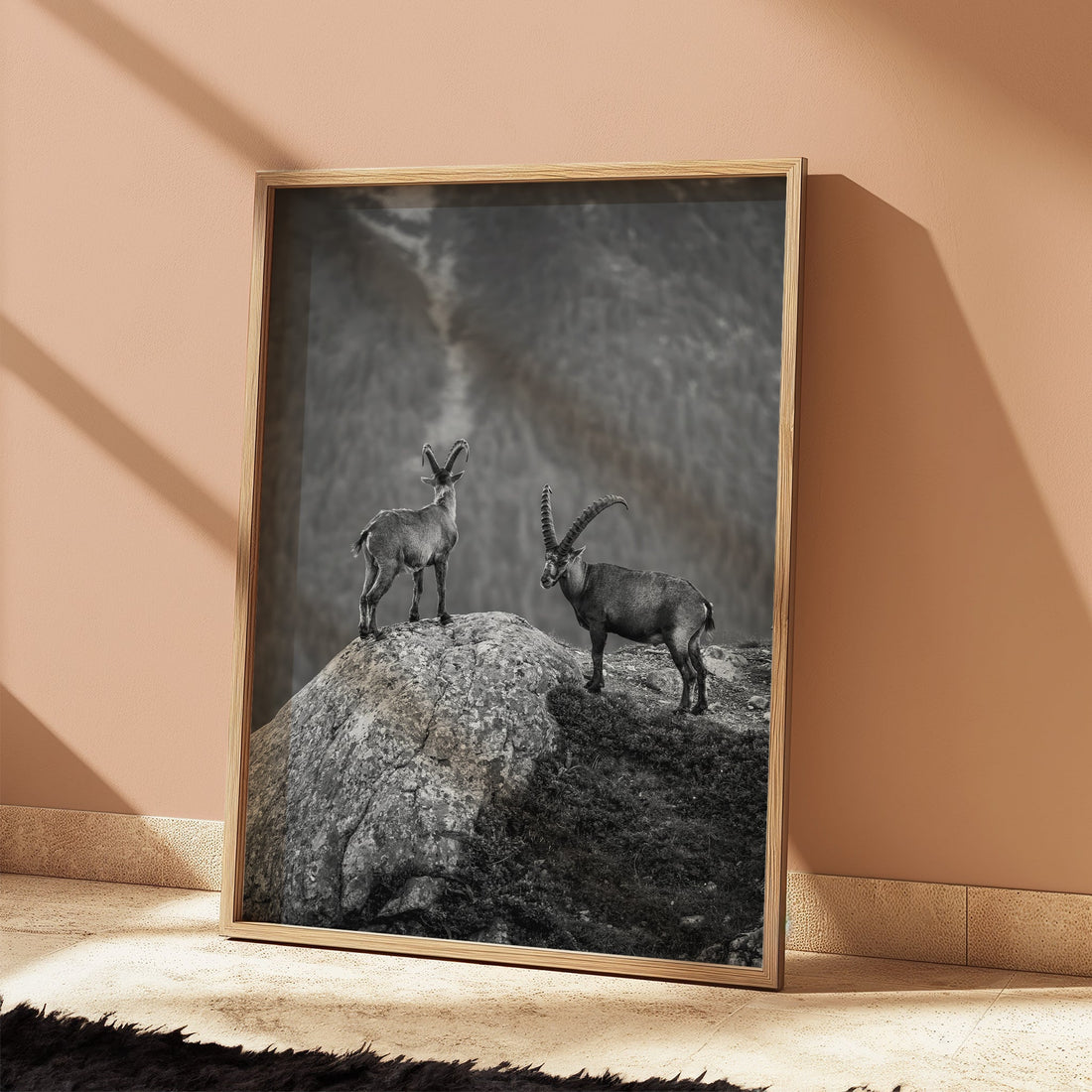 Elegant high alpine ibex wall art print with a dramatic mountain backdrop in the French Alps.