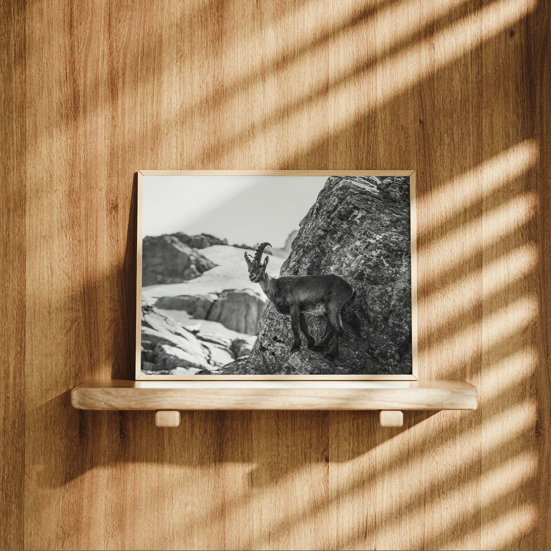 Framed alpine ibex wall art print in black and white, ideal for minimalist mountain and wildlife lovers.