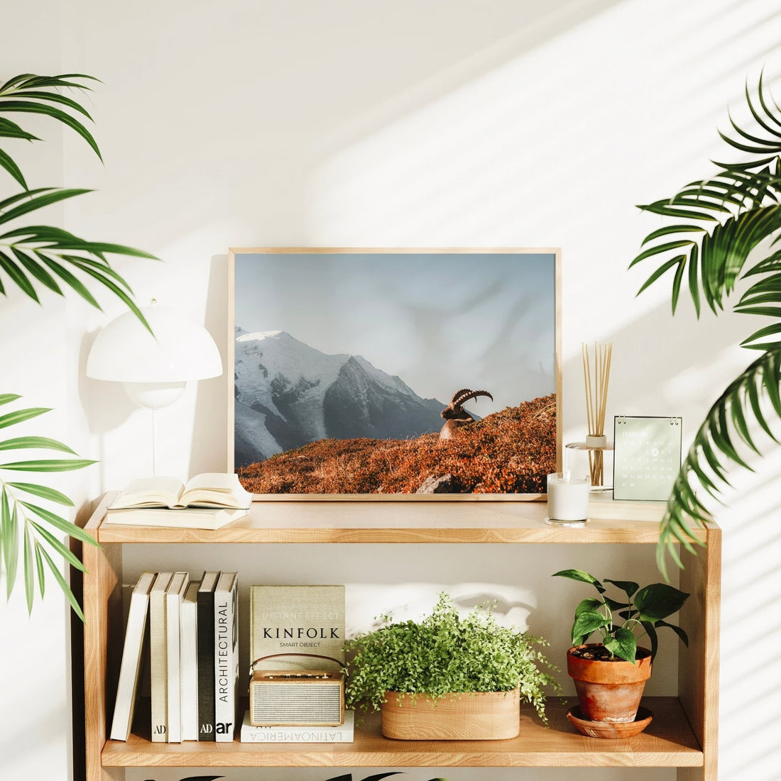 Serene wildlife photography print of an alpine ibex resting in autumn foliage with the Mont Blanc massif rising behind.