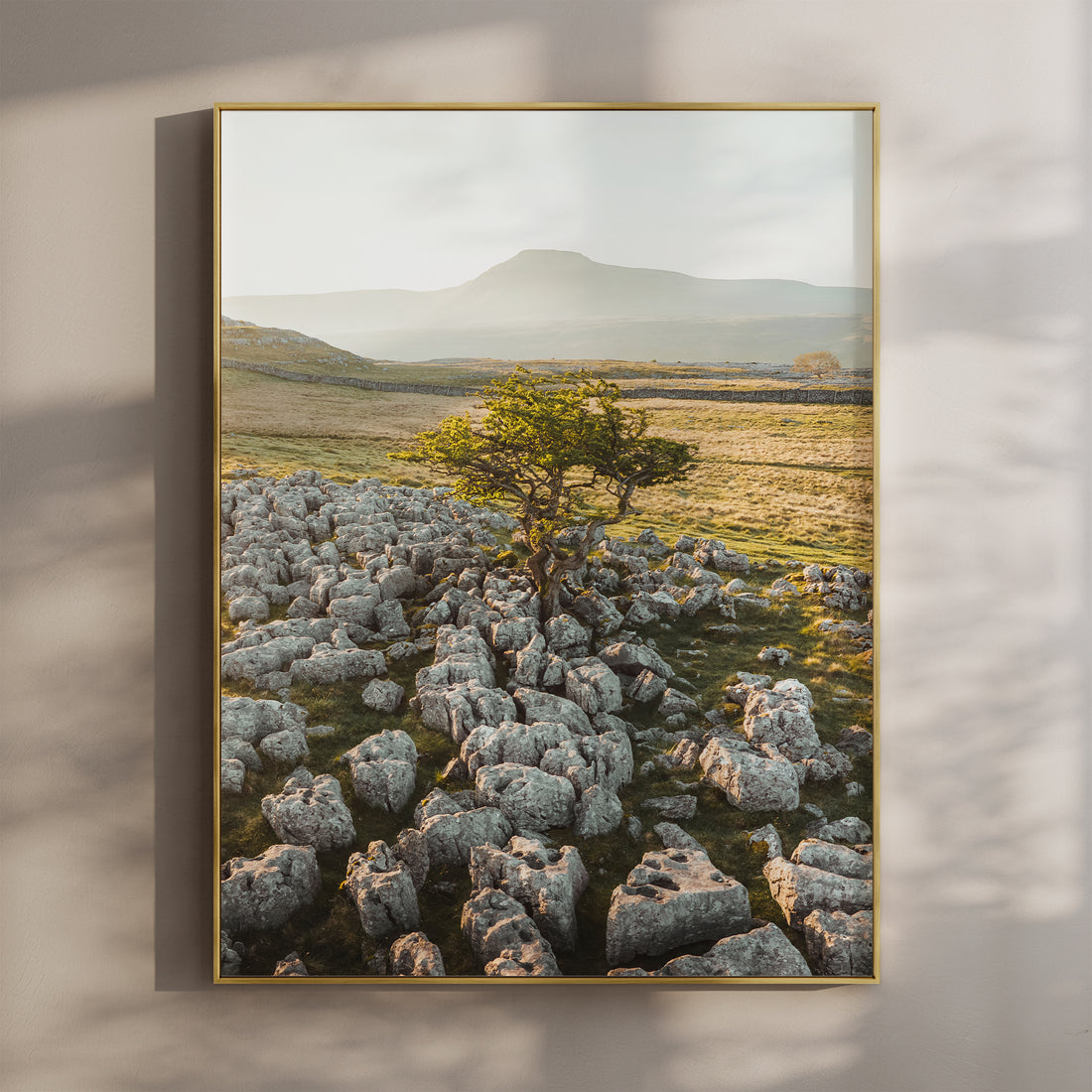 ingleborough-tree-yorkshire-dales-wall-art