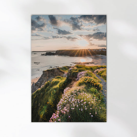 Scenic sunrise print of Annestown Beach from the clifftop, overlooking the bay and village.