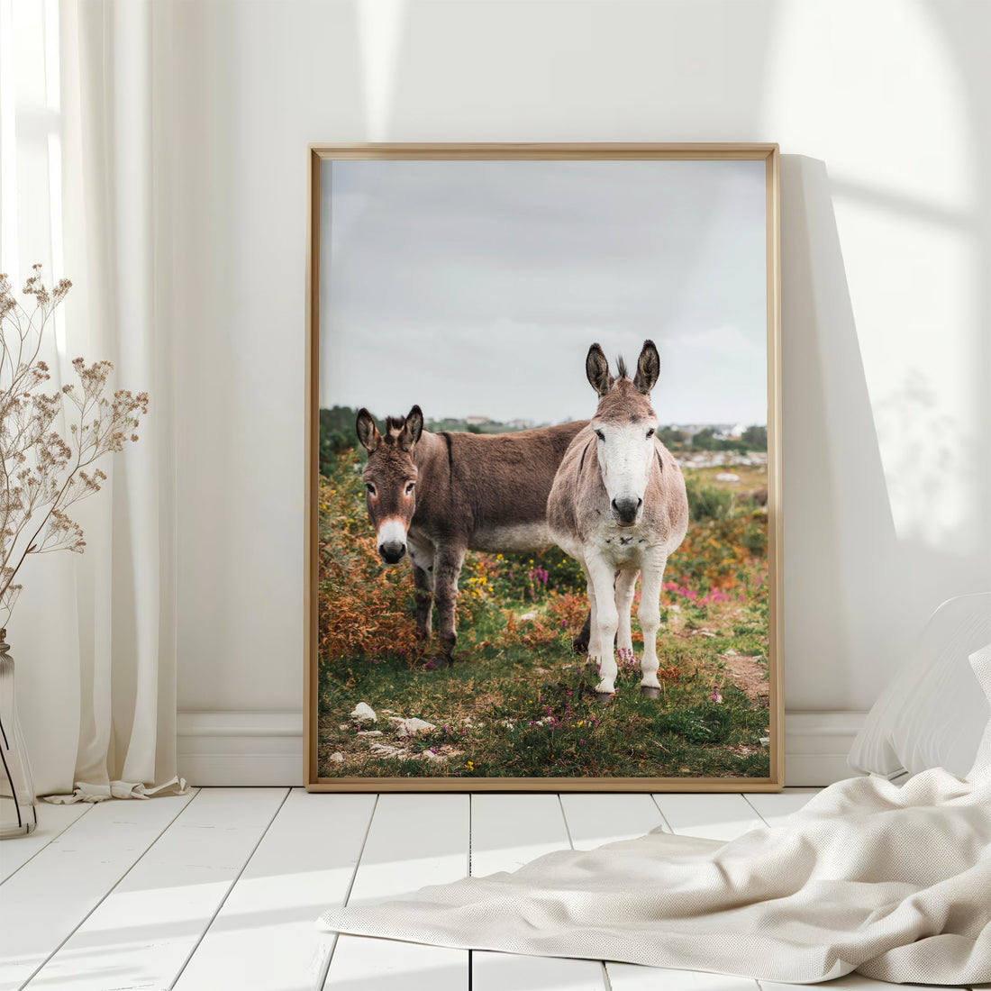 Fine art print of Irish donkeys on a white floor in soft natural light.