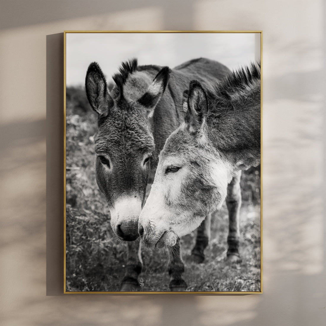 Black and white donkey wall art featuring two Irish donkeys standing close in a grassy field.