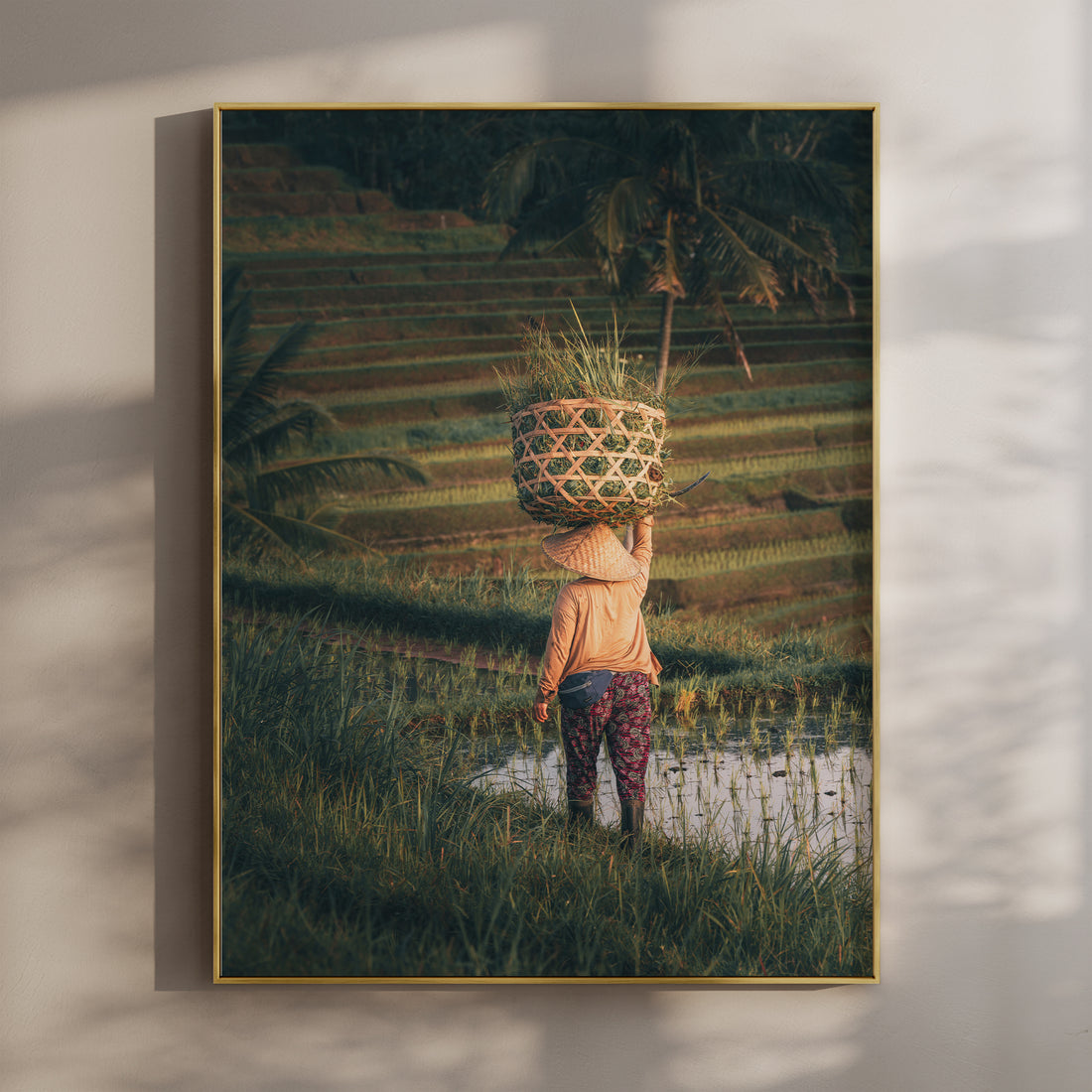 Fine art wall print of Jatiluwih Rice Fields in Bali with farmer carrying basket