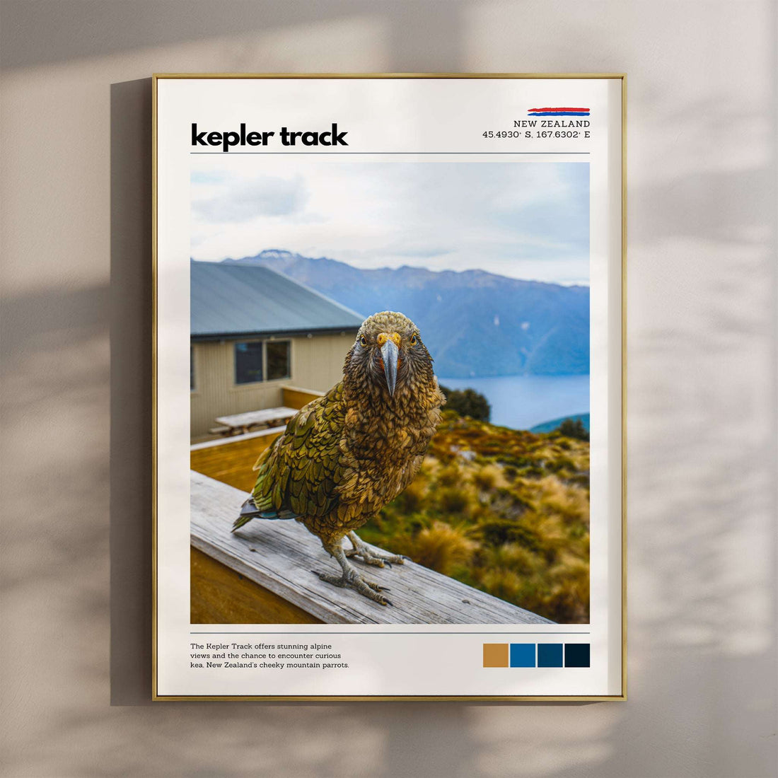 Kea perched along the Kepler Track in Fiordland, New Zealand wall art print