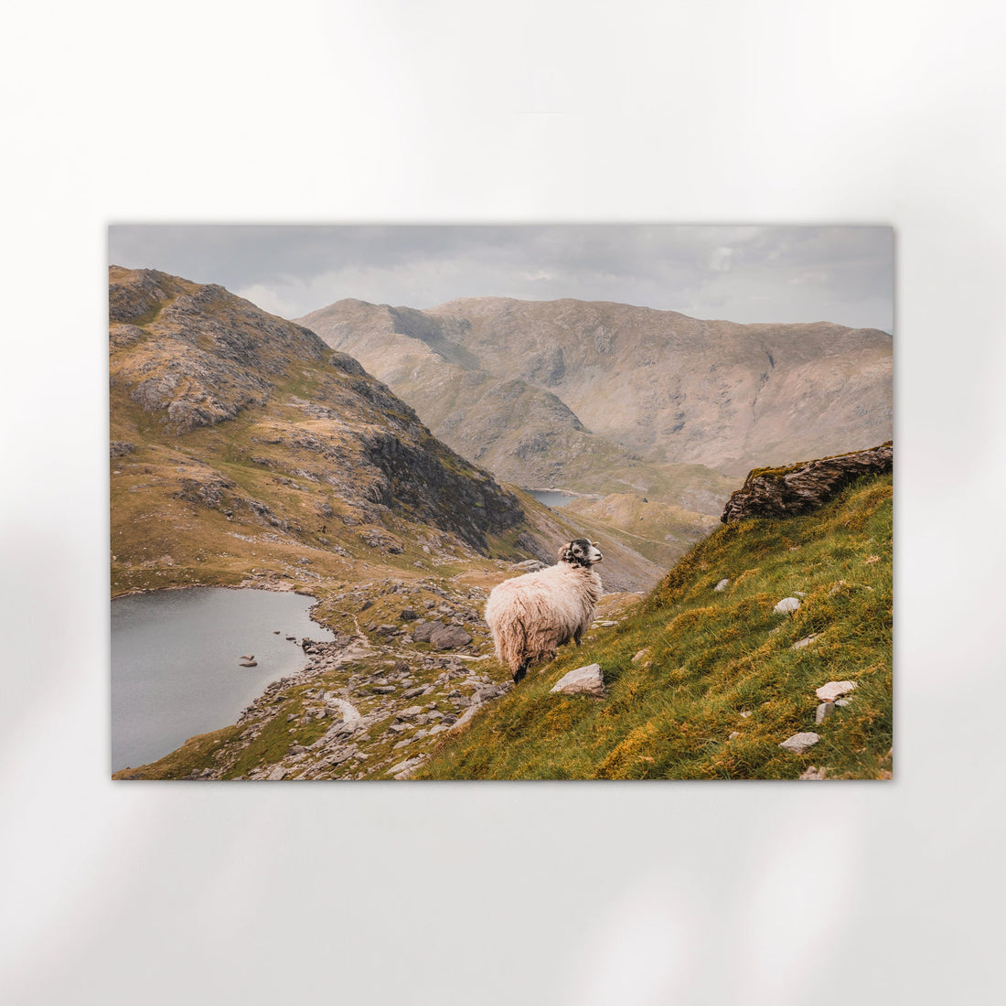 Coniston mountain scene with rugged peaks and tranquil lake below