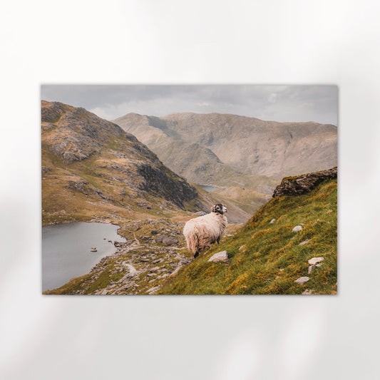 Coniston mountain scene with rugged peaks and tranquil lake below